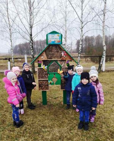Проект "В городке насекомых"